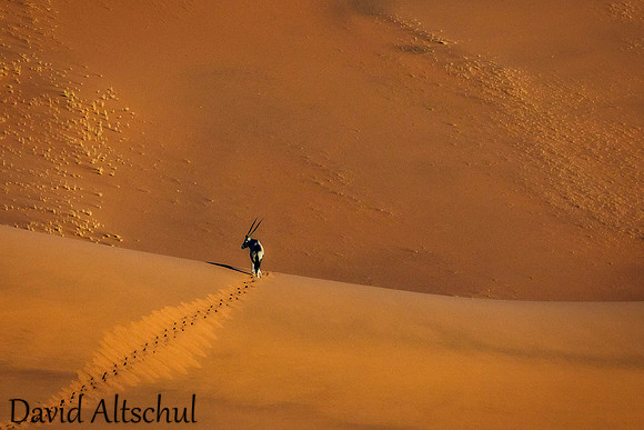Namibia