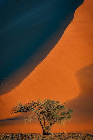 Namibia