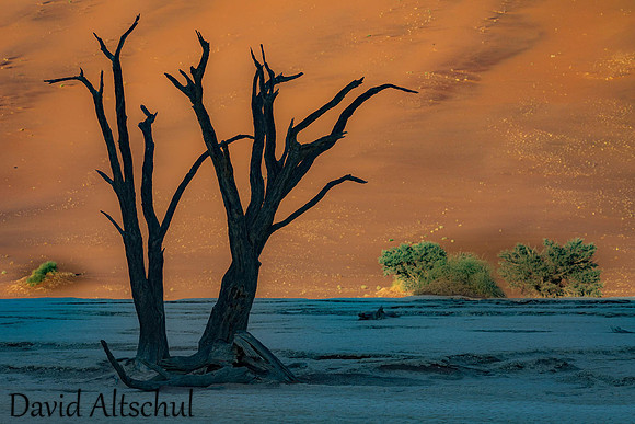 Namibia