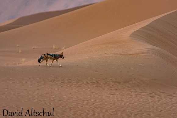 Namibia