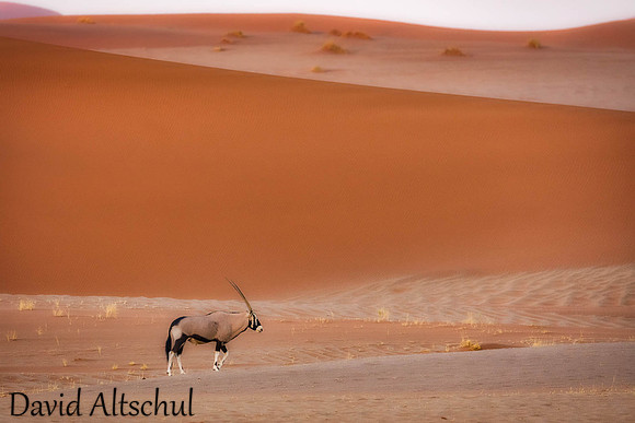 Namibia