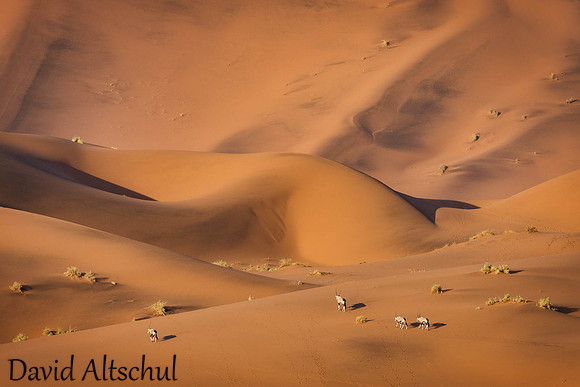Namibia