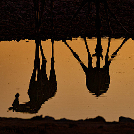 Namibia