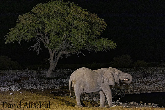 Namibia