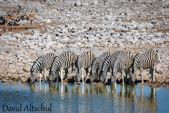 Namibia