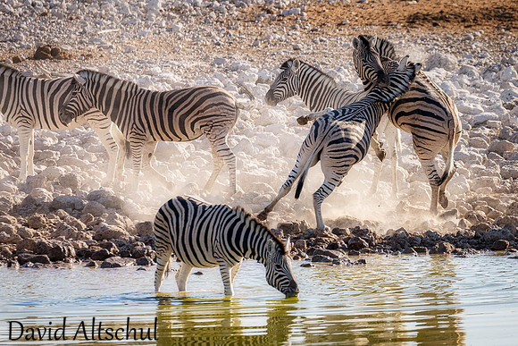 Namibia