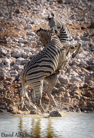 Namibia