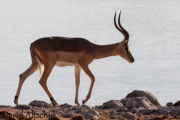 Namibia