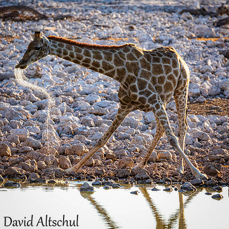 Namibia