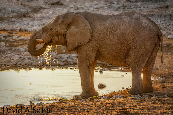 Namibia