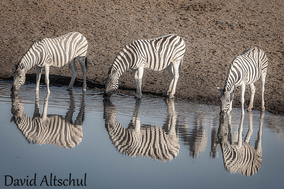 Namibia