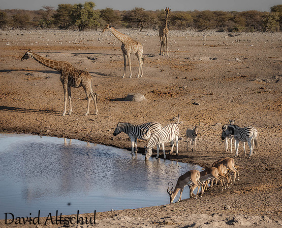 Namibia