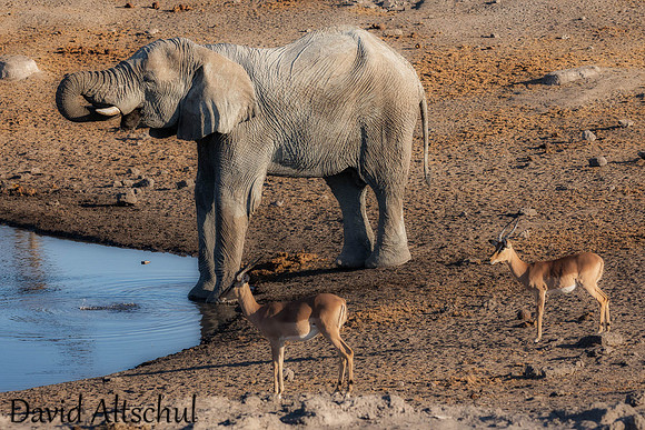 Namibia