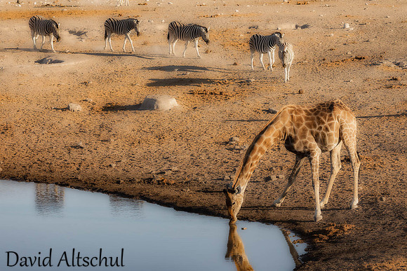 Namibia