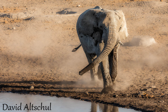 Namibia