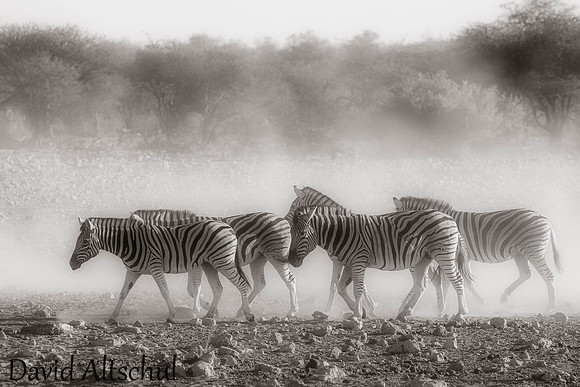Namibia