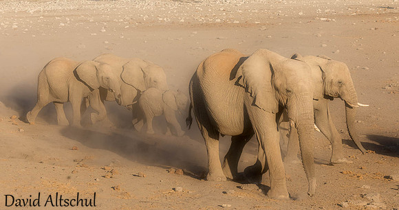 Namibia