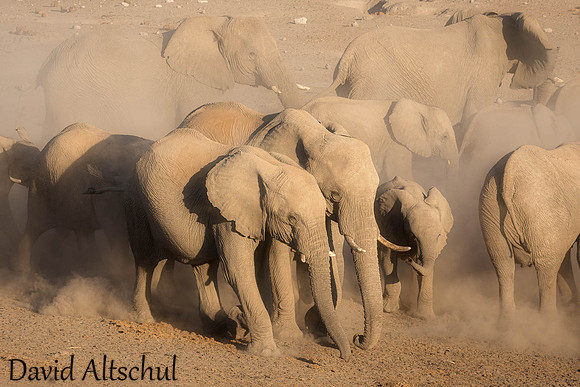 Namibia
