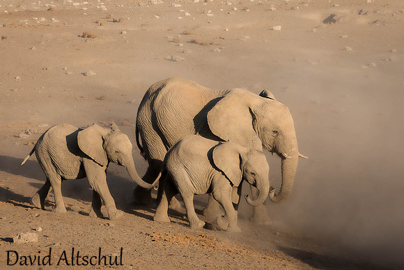 Namibia