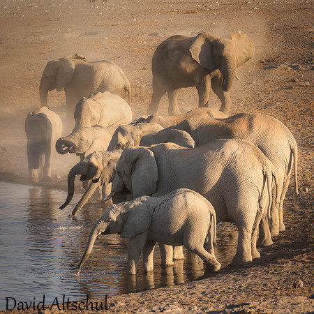 Namibia