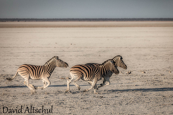 Namibia