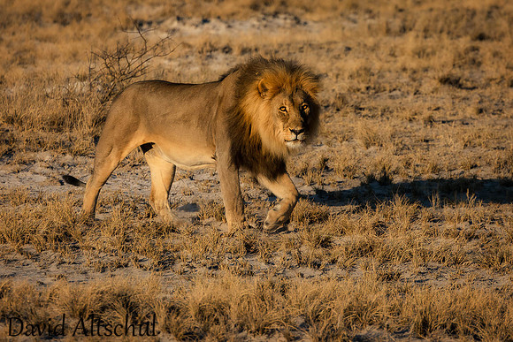Namibia