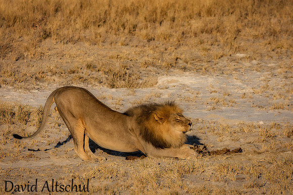 Namibia