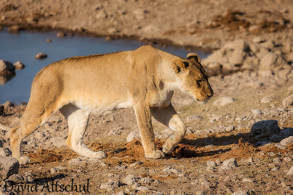 Namibia