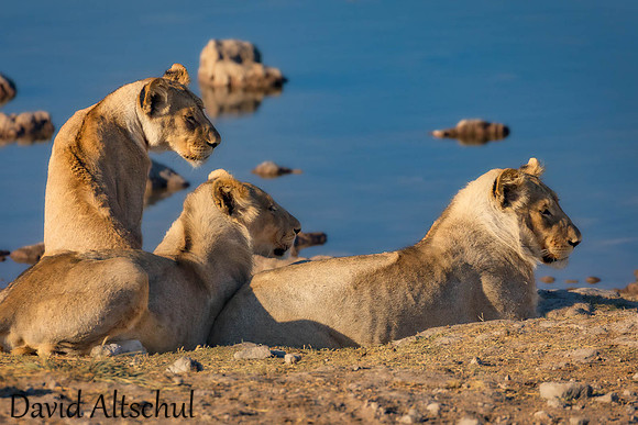 Namibia